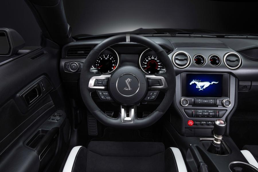  Shelby GT350R Mustang 2015 года  (фото 12 из 13)